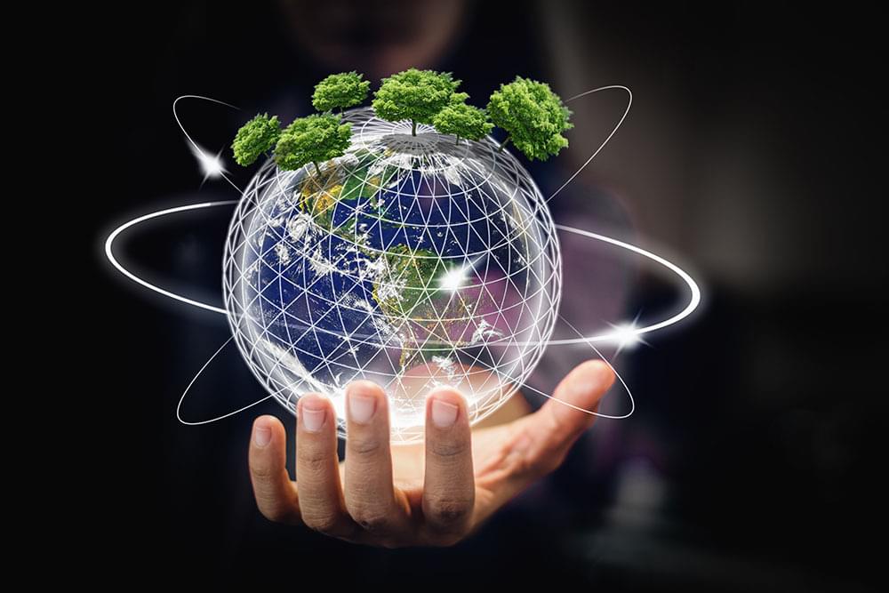 reputazione sostenibilità